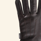 Fancy Dress Gloves