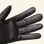 Fancy Dress Gloves