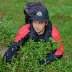Himalaya Outdoor Gloves