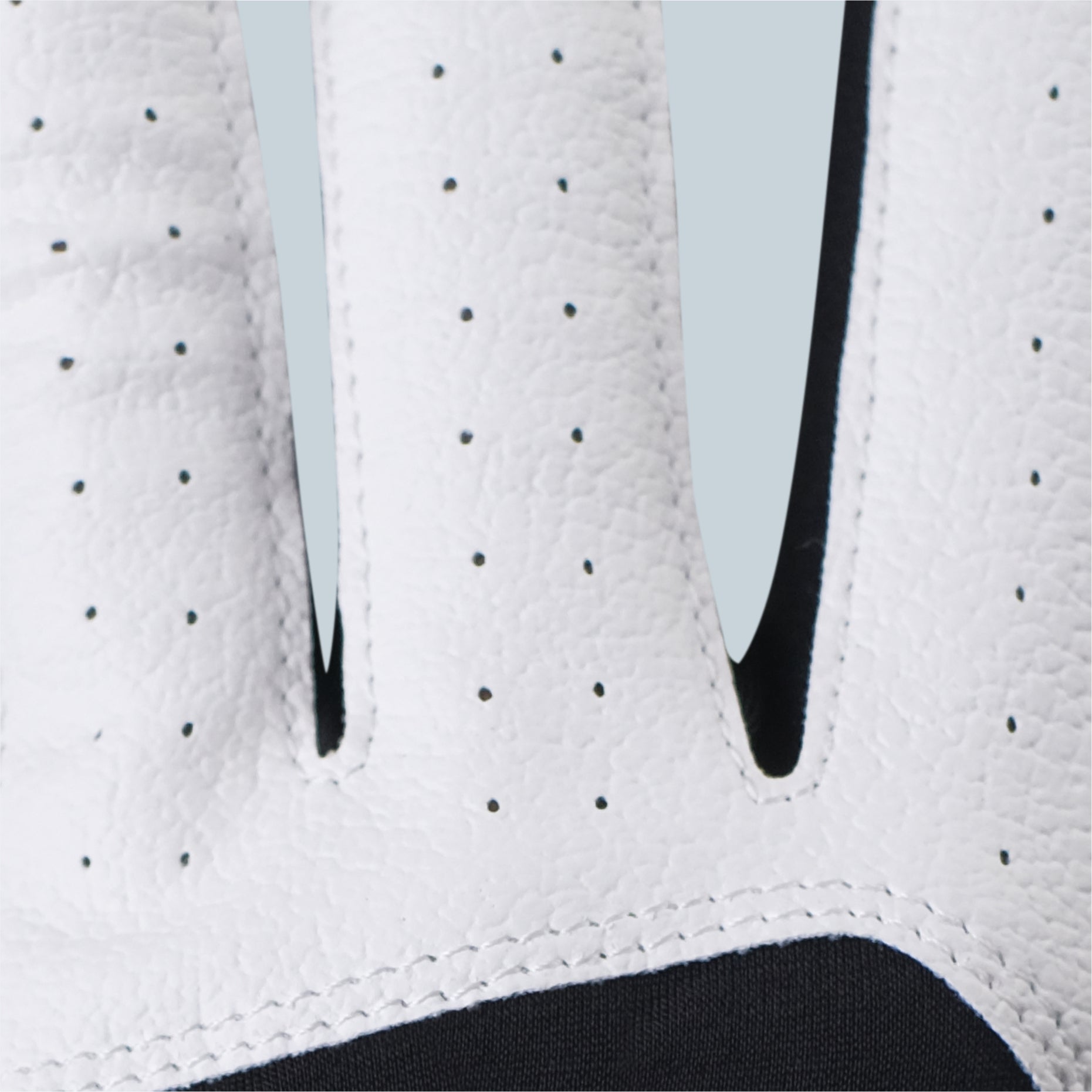 Birdie Golf Gloves
